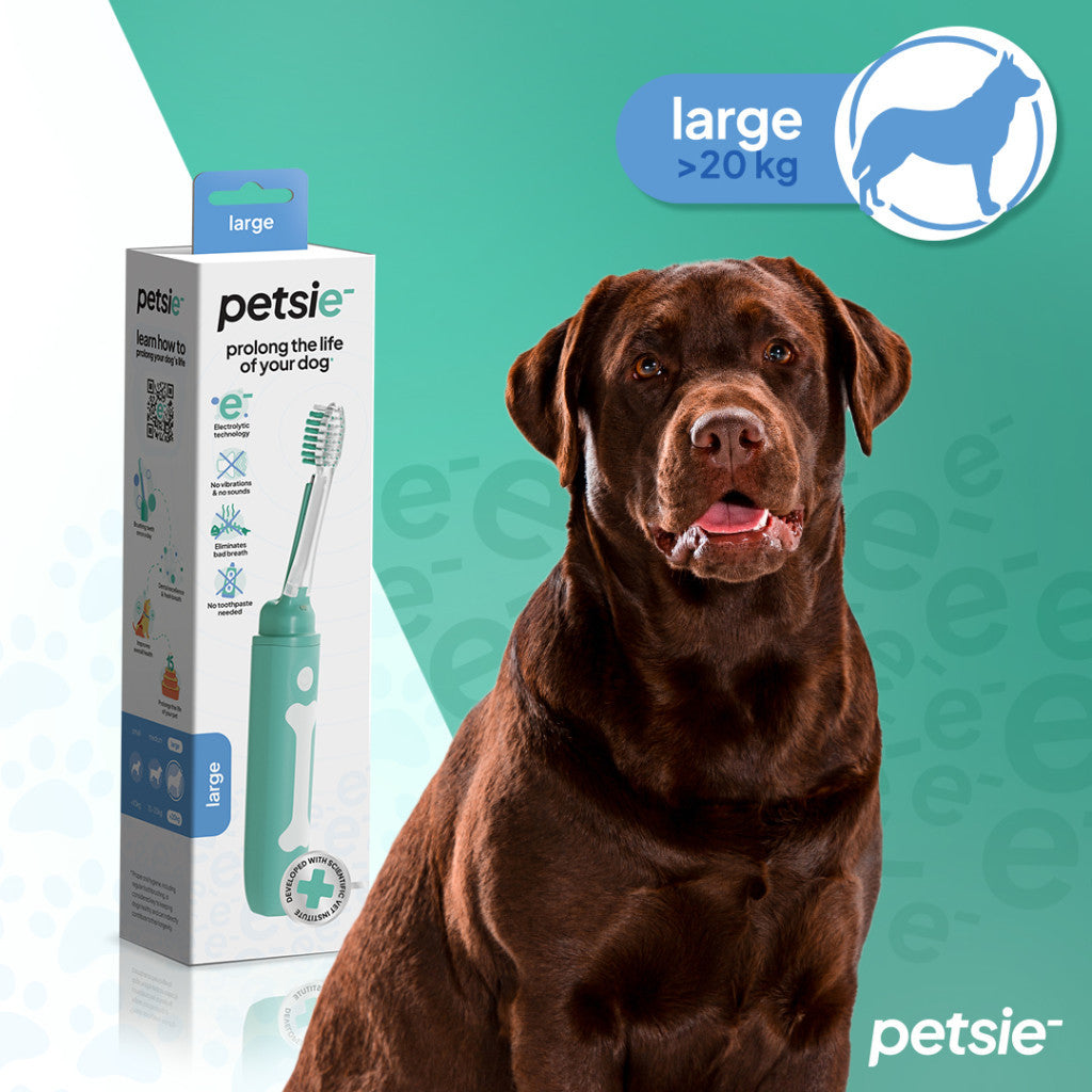 Petsie dog toothbrush (size L 20+kg)-0