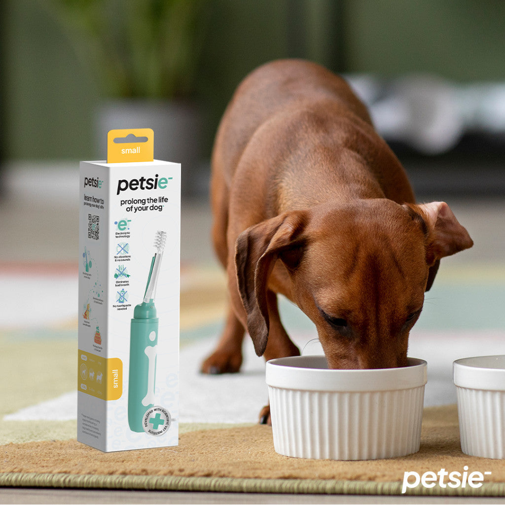 Petsie dog toothbrush (size L 20+kg)-4