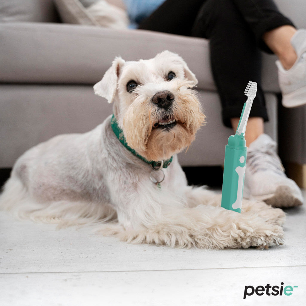 Petsie dog toothbrush (size L 20+kg)-6