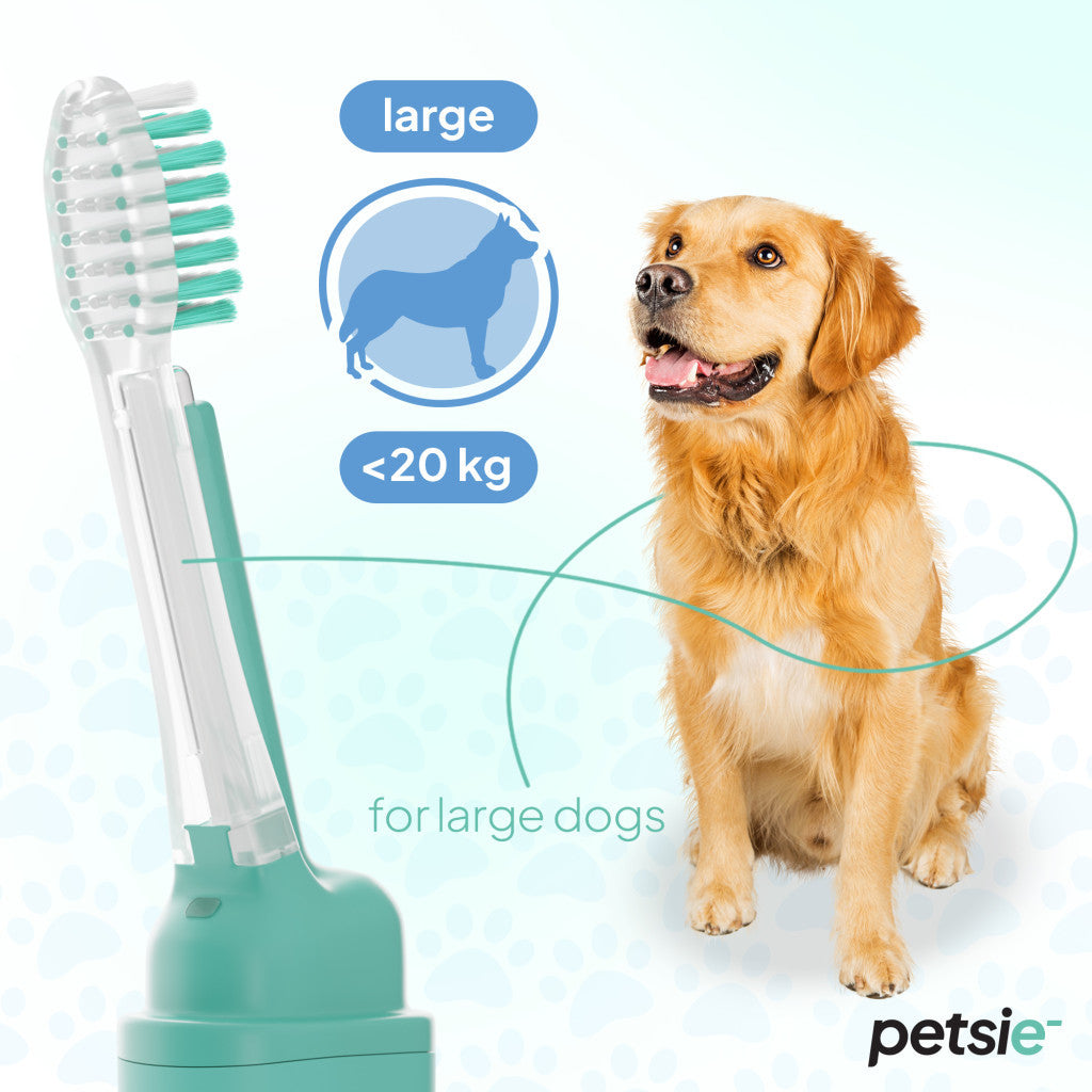 2 replacement heads for Petsie dog toothbrush (size L  20+kg)-1