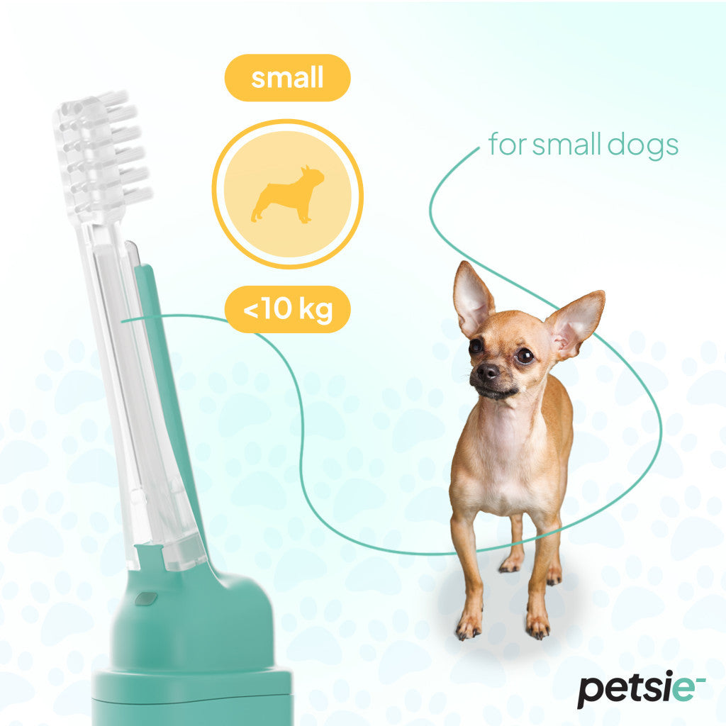 2 replacement heads for Petsie dog toothbrush (size S -10kg)-2