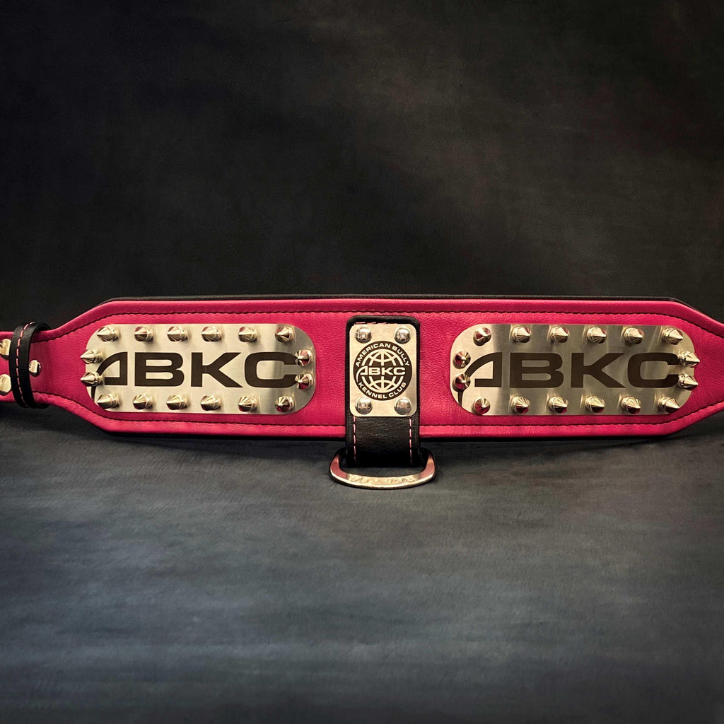 The ABKC Collar-4